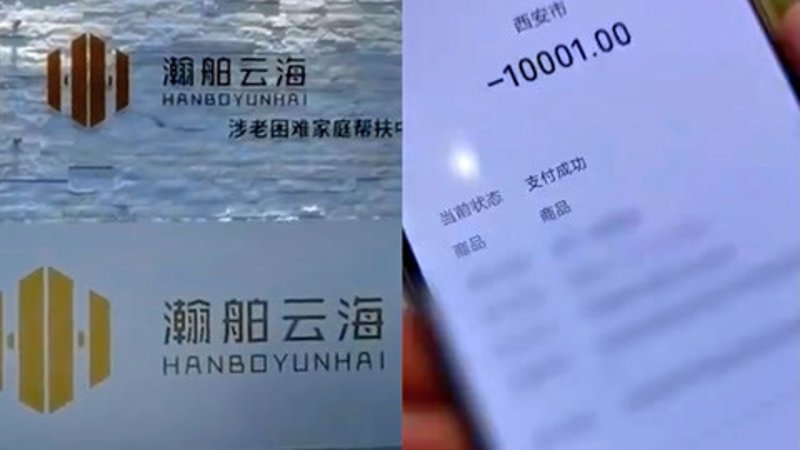电商之窗：上海网上商城的璀璨风景